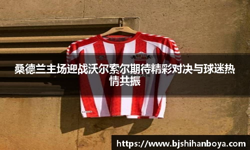 桑德兰主场迎战沃尔索尔期待精彩对决与球迷热情共振