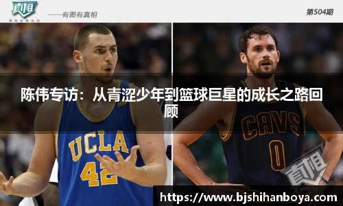 陈伟专访：从青涩少年到篮球巨星的成长之路回顾